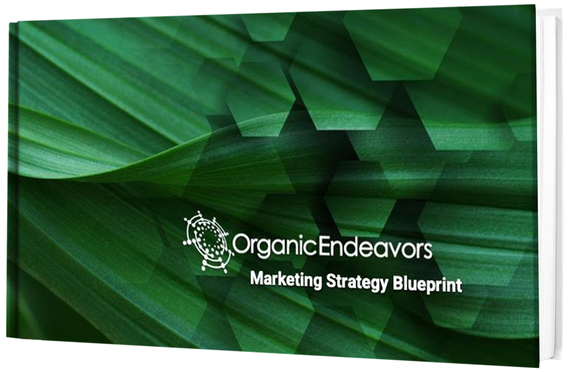 OE Marketing Blueprint